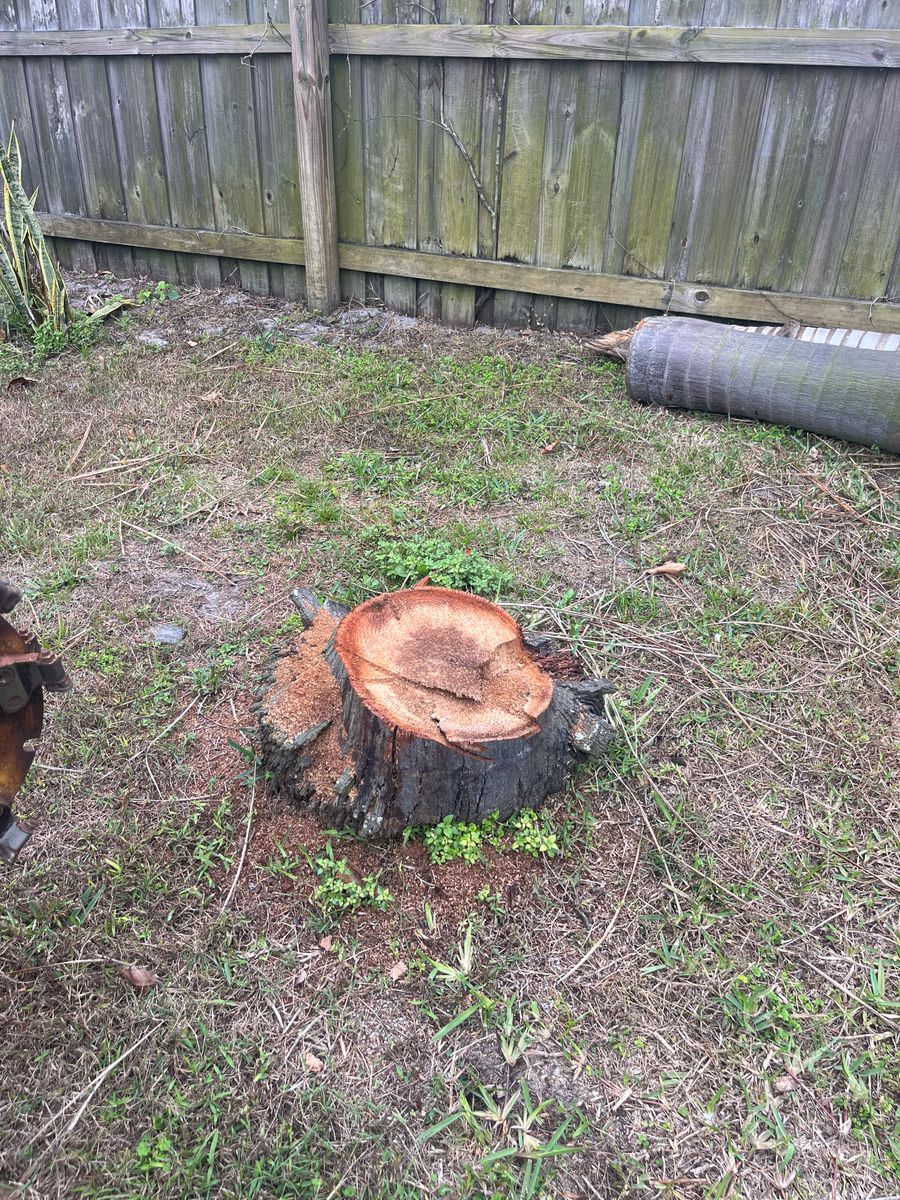 Stump Removal for KB’s Stump Removal in Seminole, FL
