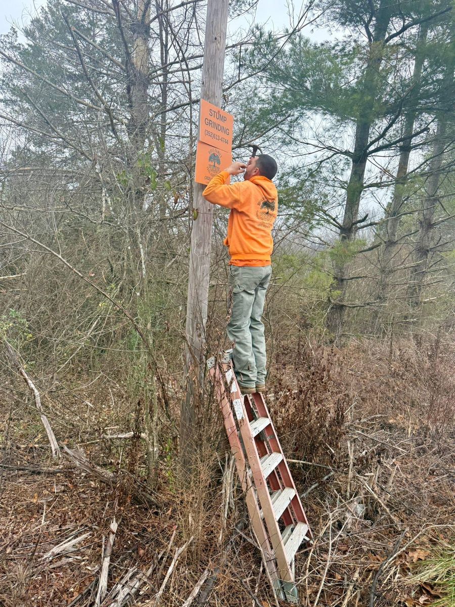 Other Tree Services for Ross Family Tree Service LLC  in Hohenwald, TN
