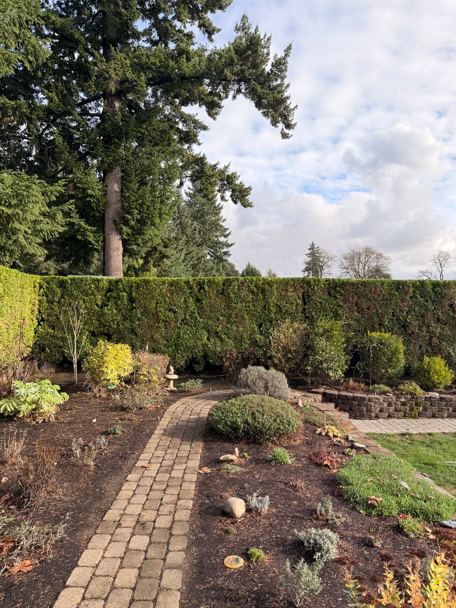 Commercial Property Maintenance for Churape And Son's Landscaping in Vancouver, WA