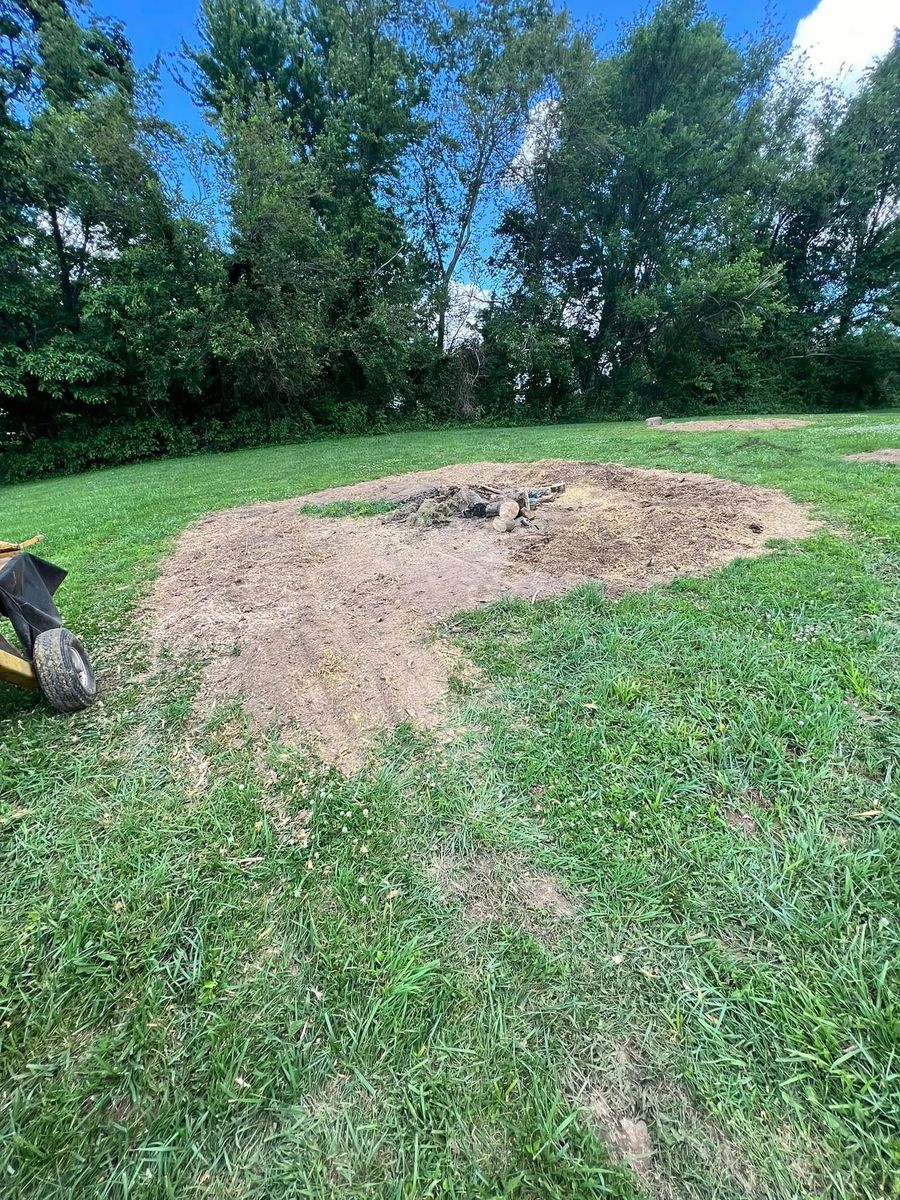 Stump Removal for Kadin’s Tree Service in North Vernon, IN