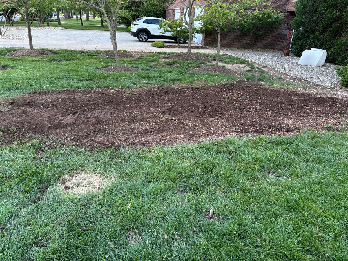 Stump Removal for Conrad's Stump Removal in Columbus, IN