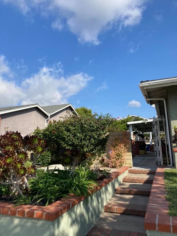 Tree & Shrub Care for Green Planet Services in La Habra Heights, CA