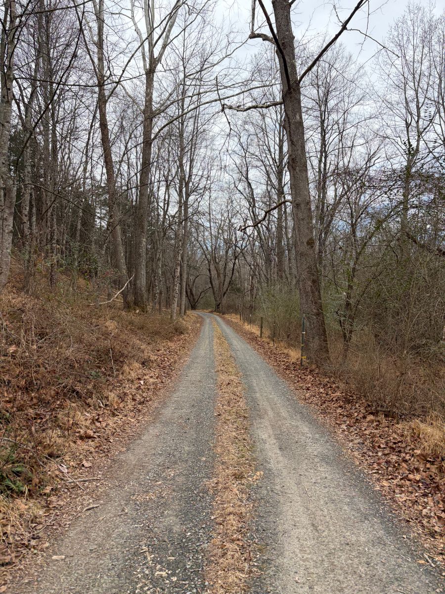 Site Prep for 9999 Building and Renovation LLC in Warrenton, VA