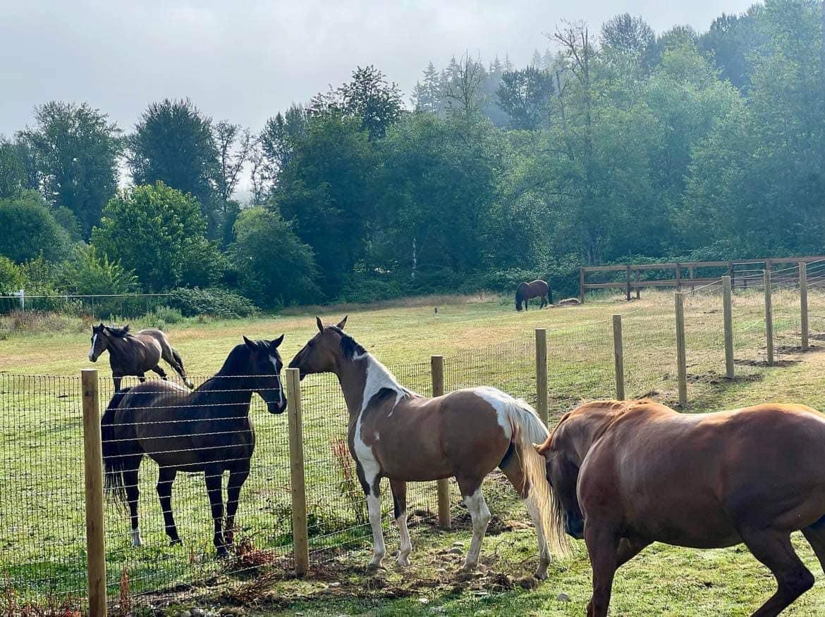 Fencing for Oats Equestrian Fencing LLC in Arlington, WA