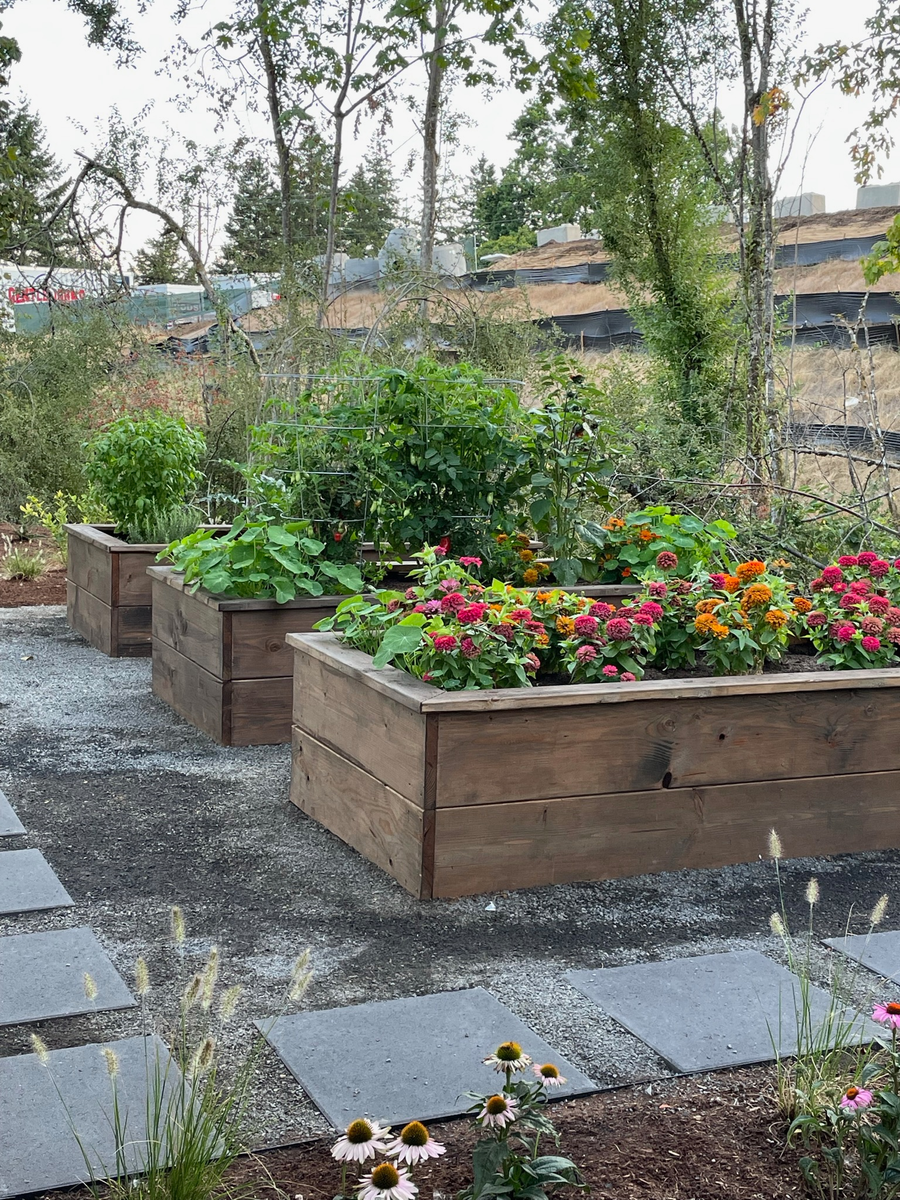 Horticulture Consultation for Courtney Lewis Landscape Design in Portland, OR