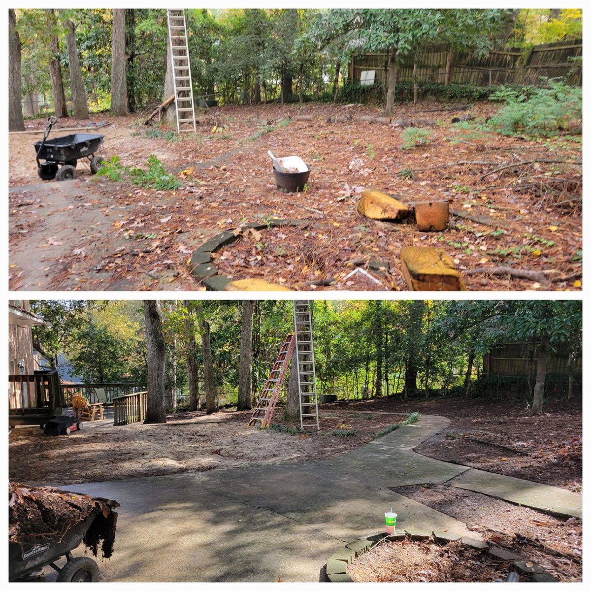 Clean Ups for S&D Lawn & Landscape LLC in Gilbert, SC