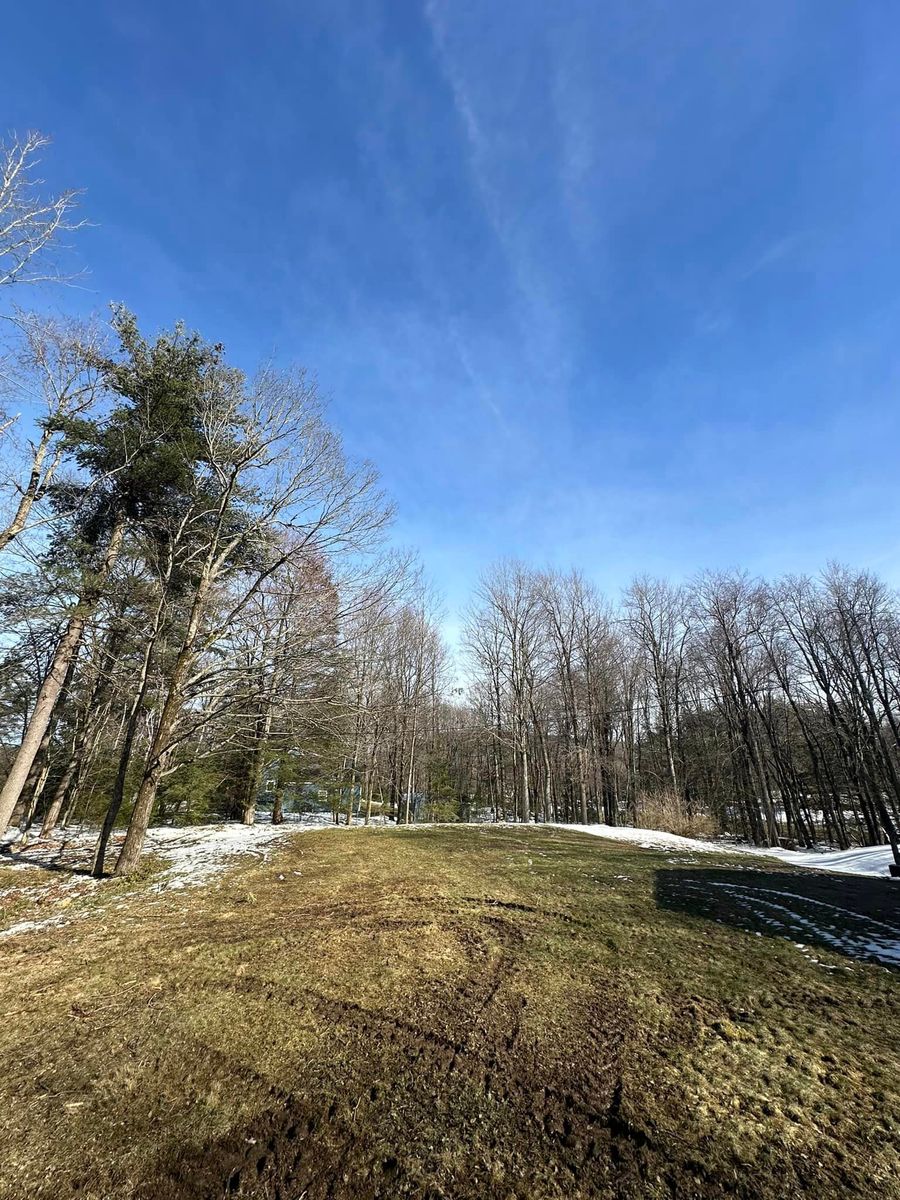 Land Clearing for Leaf and Limb in Townsend, MA