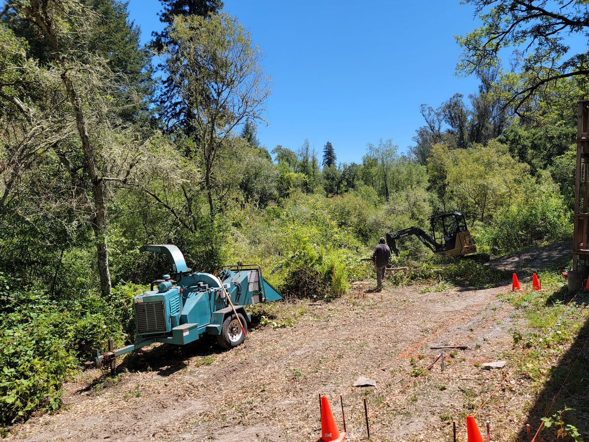 Land Clearing for Ren Levine Construction in Novato, CA