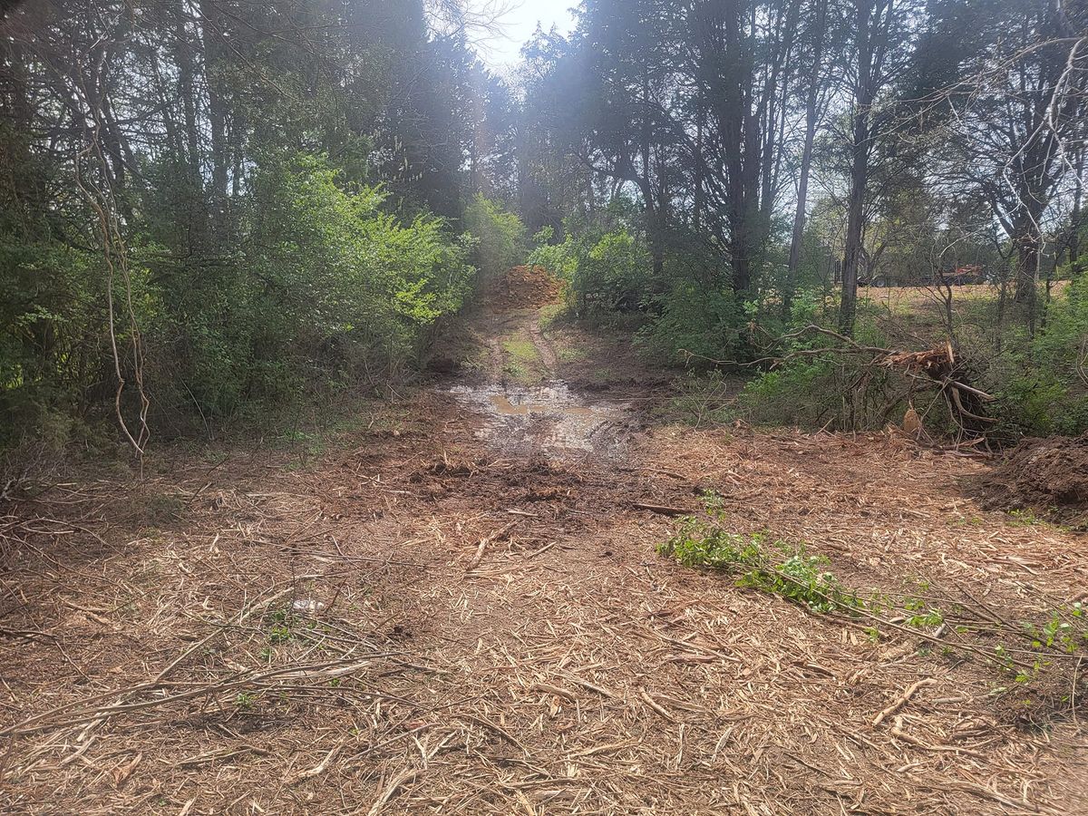Land Clearing & Demolition for Carter’s Grading Services in Greenback, TN