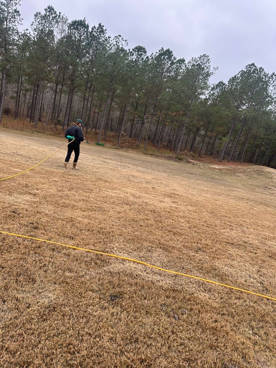 Lawn Care for Kathleen's Lawn & Shrub Care in Augusta, GA