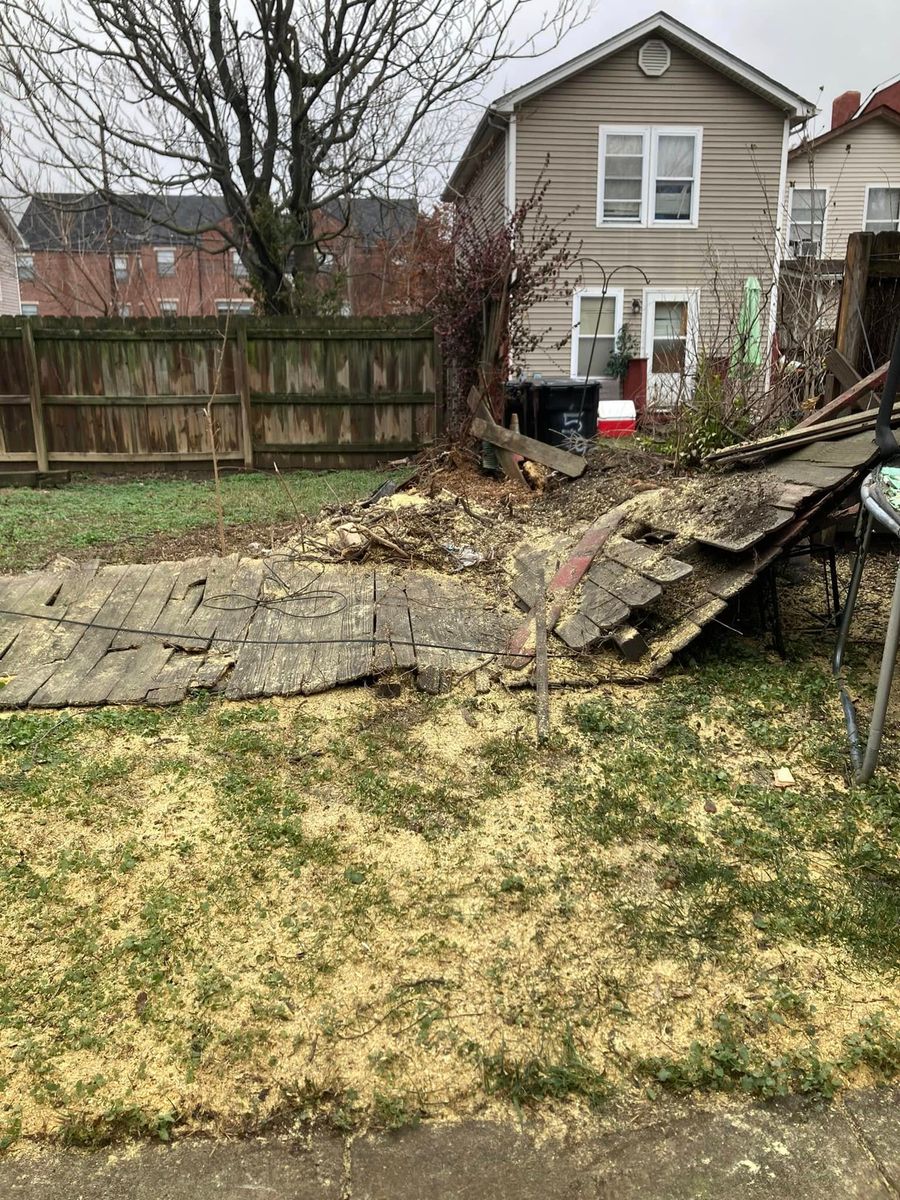 Lot Clearing for La Fountain Tree Service in Louisville, KY