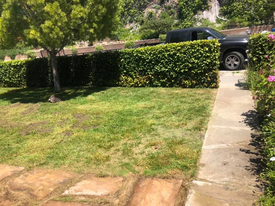 Shrub Trimming for PJ & Son’s Gardening in Montecito, CA