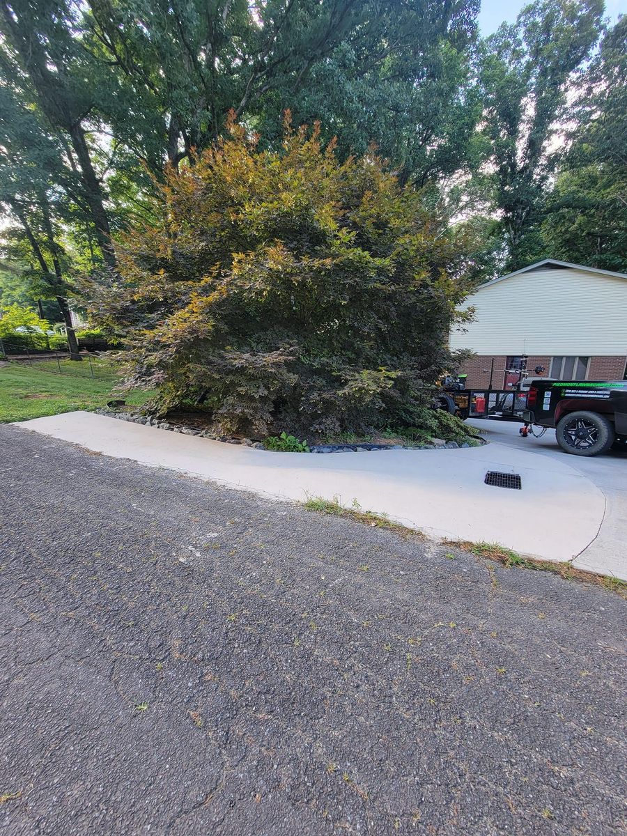 Tree Pruning for Piedmont Lawn and Landscaping in Lexington, NC