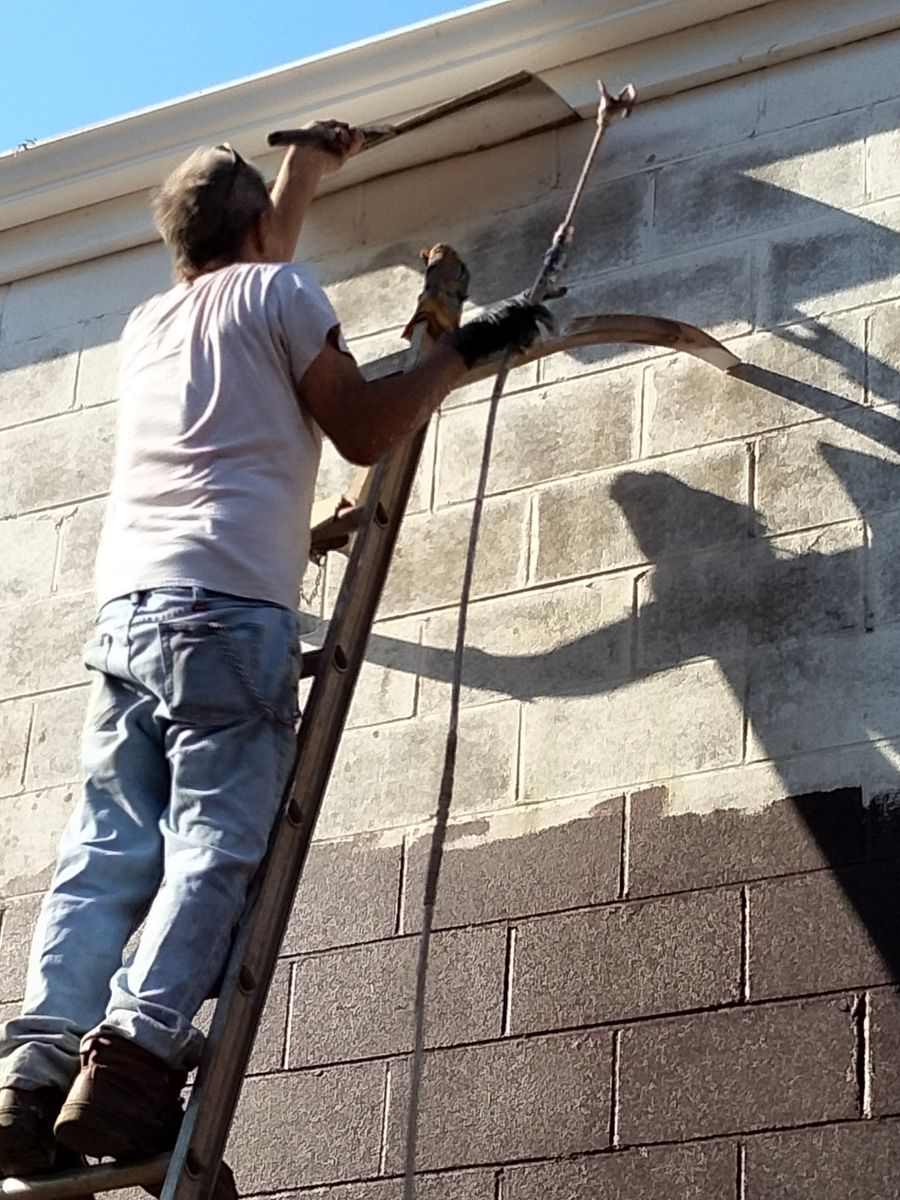 Exterior Painting for Squeaky Clean Windows Gutters & More in Hoover, AL