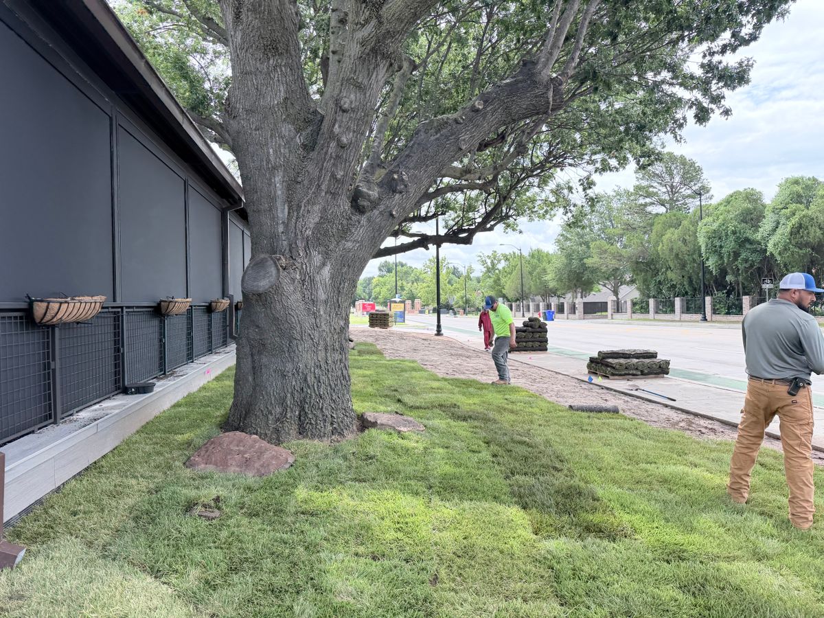 Commercial Maintenance/Installs for Urban Lawn & Landscape in Oklahoma City, OK