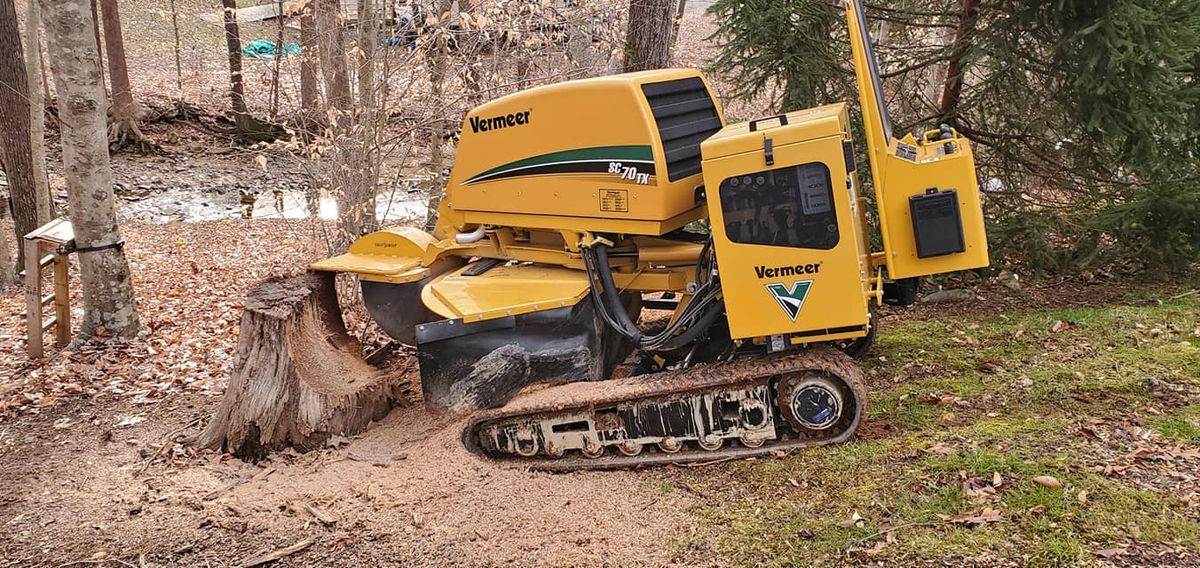 Stump Removal for W D Giampa Lawns and Landscape Inc. in Manassas, VA
