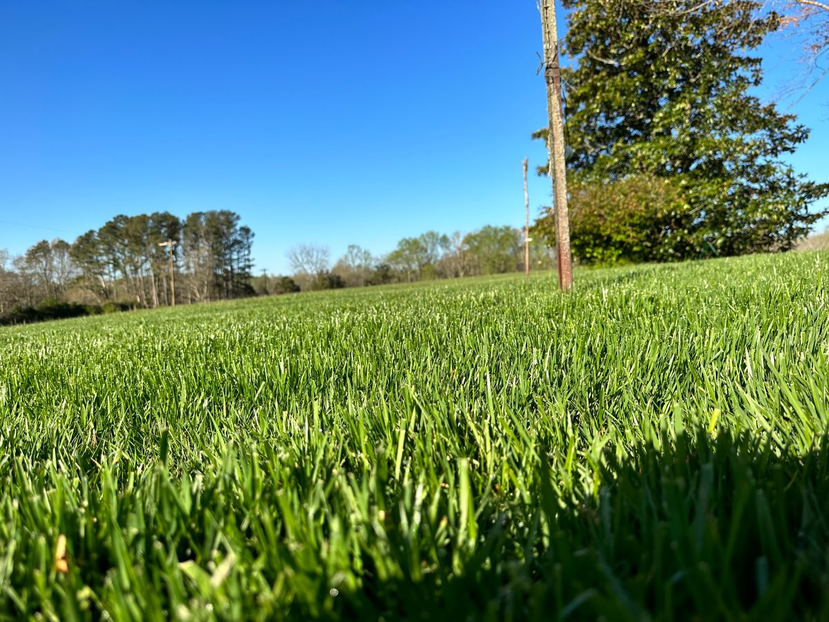 Fall Seeding for Fenix Lawn Care in Cookeville, TN