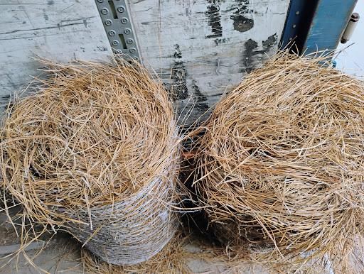 Pinestraw for BAM Another Pinestraw Lot in Flowery Branch, GA