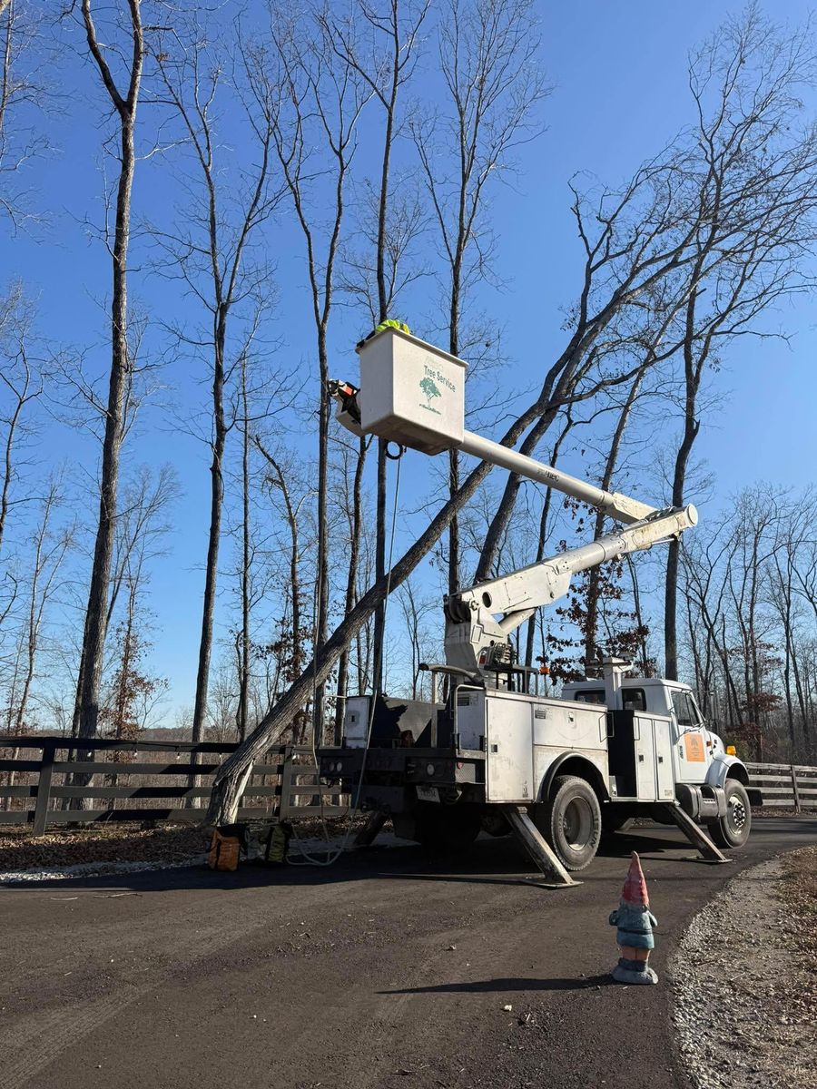 Tree Removal for Ross Family Tree Service LLC  in Hohenwald, TN