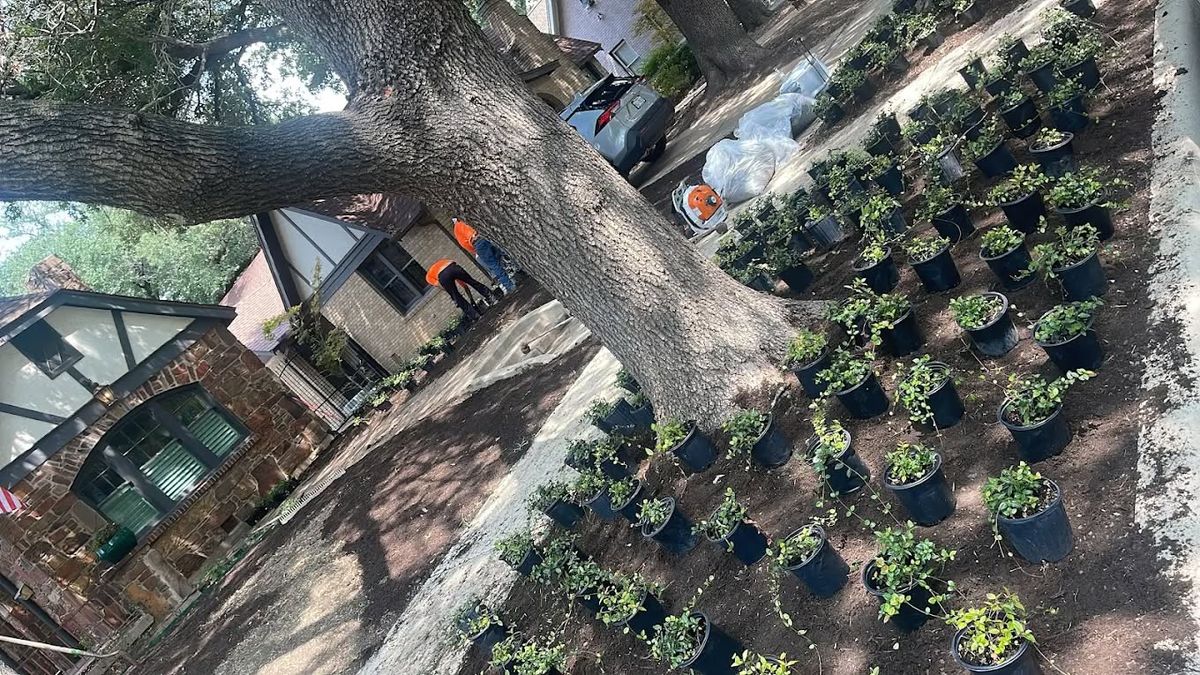 Landscape Installation for Valadez Landscaping LLC in Fort Worth, TX