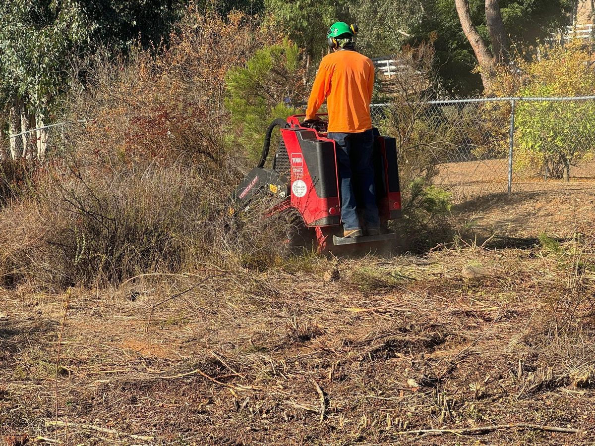 Property Clean Up for The Tree Fairy in Julian, CA