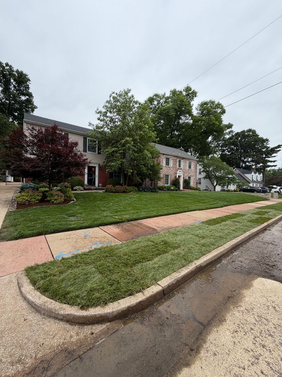 Shrub Trimming for J & B Landscaping in St. Louis, MO