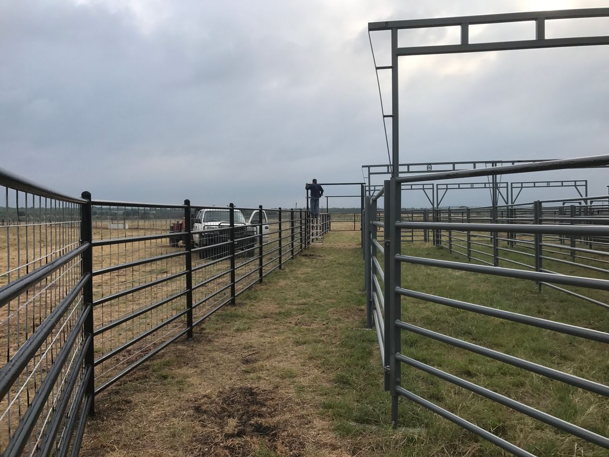 Cattle Pens for 5-7 Fencing & Construction in Madisonville, TX