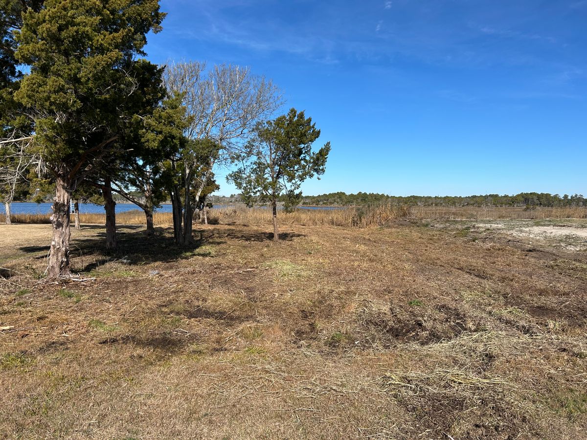 Forestry Mulching/Bush Hogging for Top Notch Landscape in Sneads Ferry, NC