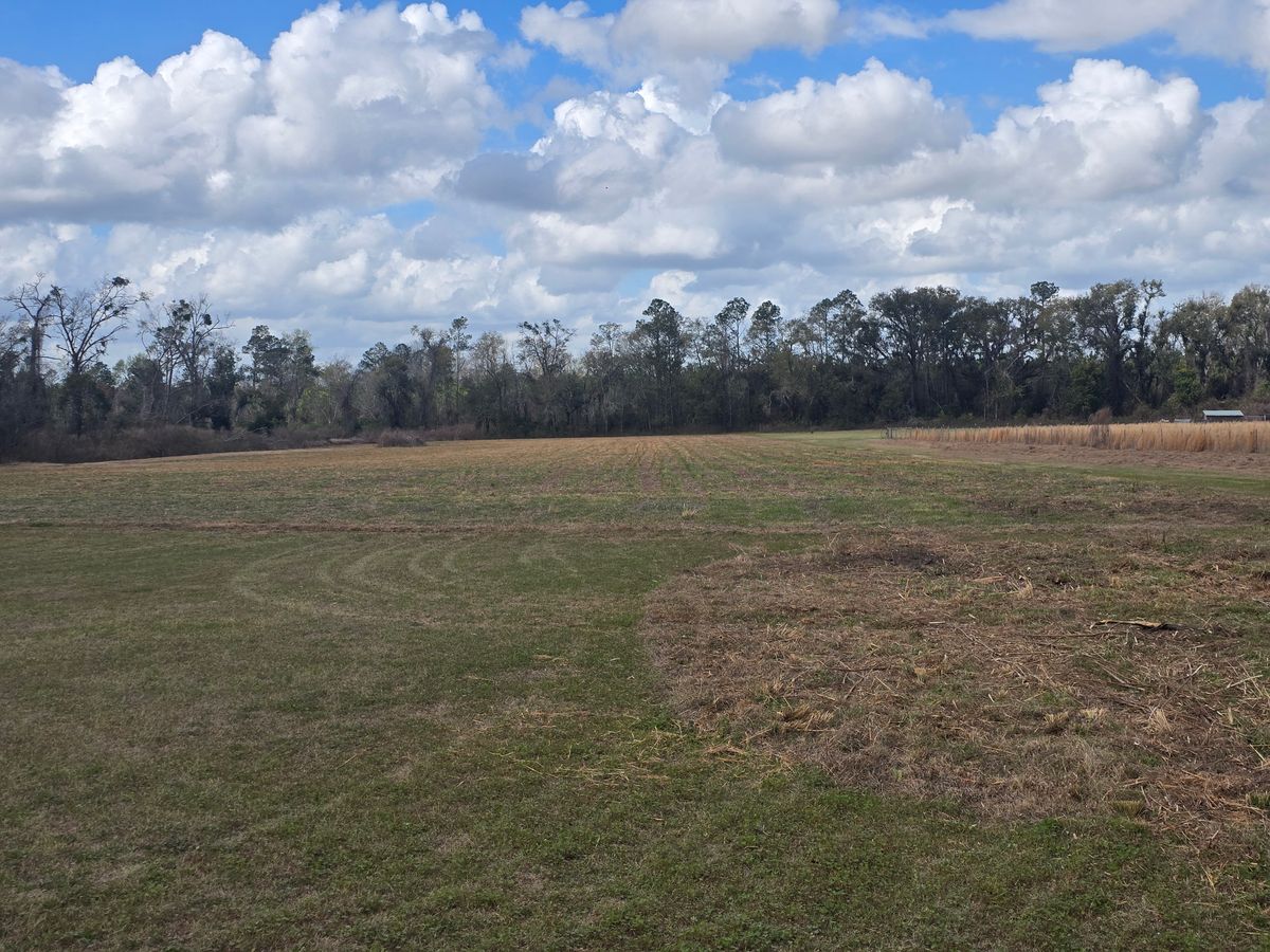 Land Clearing for Giles Land Management, LLC in Hahira, GA