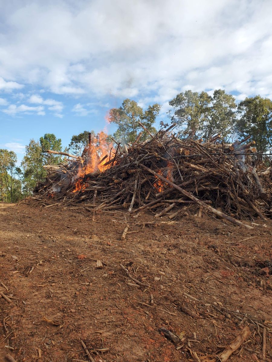 Tree & Debris Removal for Jason Scott Grading & Clearing in Williamson, GA