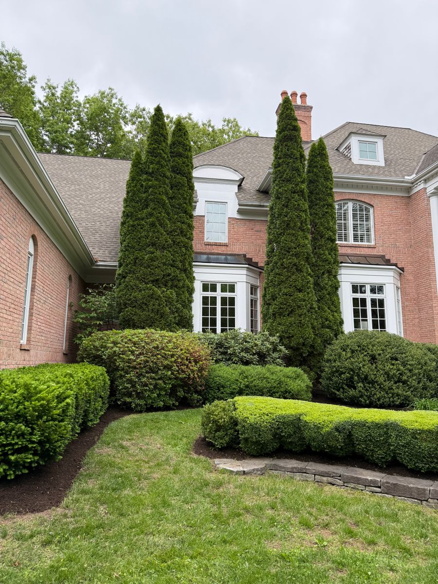Shrub Trimming for Blades of Glory LLC in Cheshire, CT