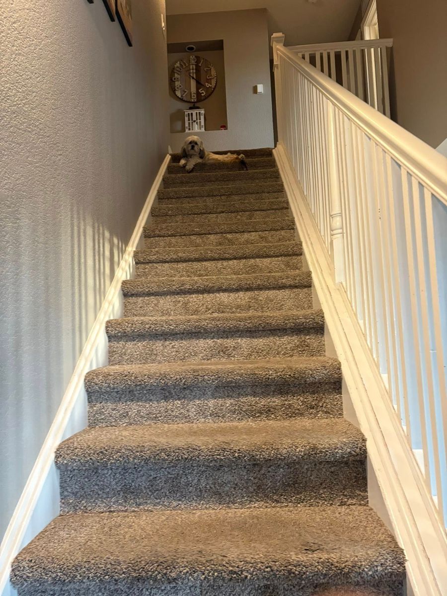 General Home Repair for Blackston Handyman Services in Keenesburg, CO