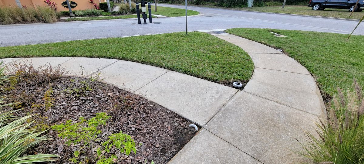 Concrete Cleaning for Blue Stream Roof Cleaning & Pressure Washing in Tampa, FL