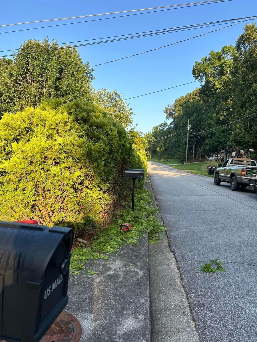 Fencing Repair & Installation for A&A MultiScapes and Tree Service in Dallas,  GA