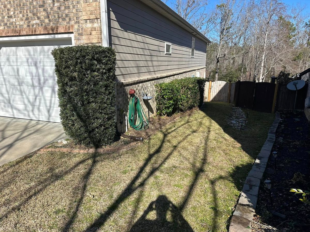 Shrub Trimming for S&D Lawn & Landscape LLC in Gilbert, SC