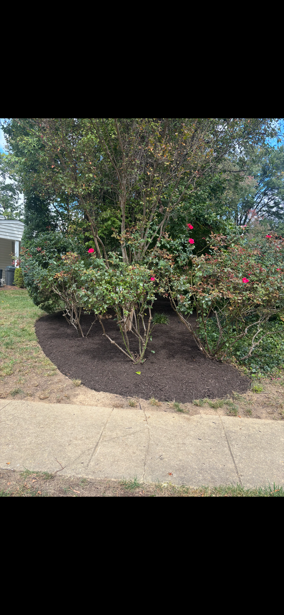 Landscape Installation for R Merkli Inc. in Mount Vernon , VA