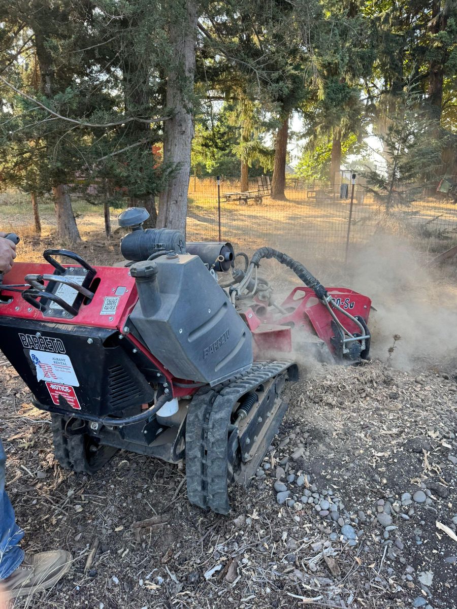 Tree Removals for Willamette Landscaping and Tree Services in Albany, OR