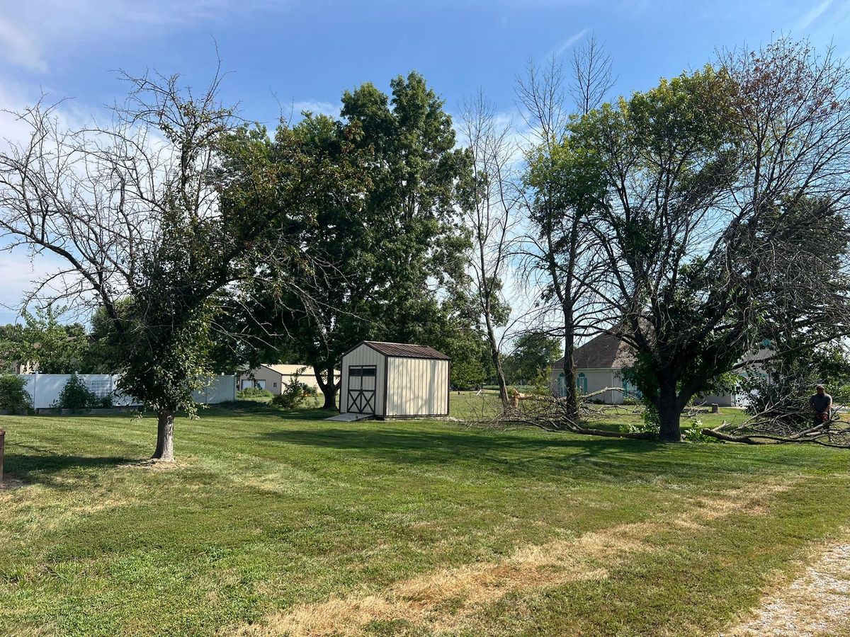 Property Clean Up for Baker Professional Services LLC in Shelbina, MO