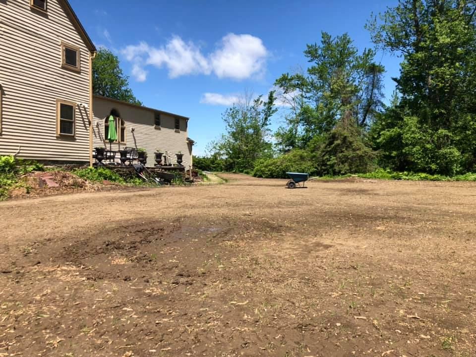 Land Clearing for Smittys Property Maintenance LLC in Wethersfield, Connecticut