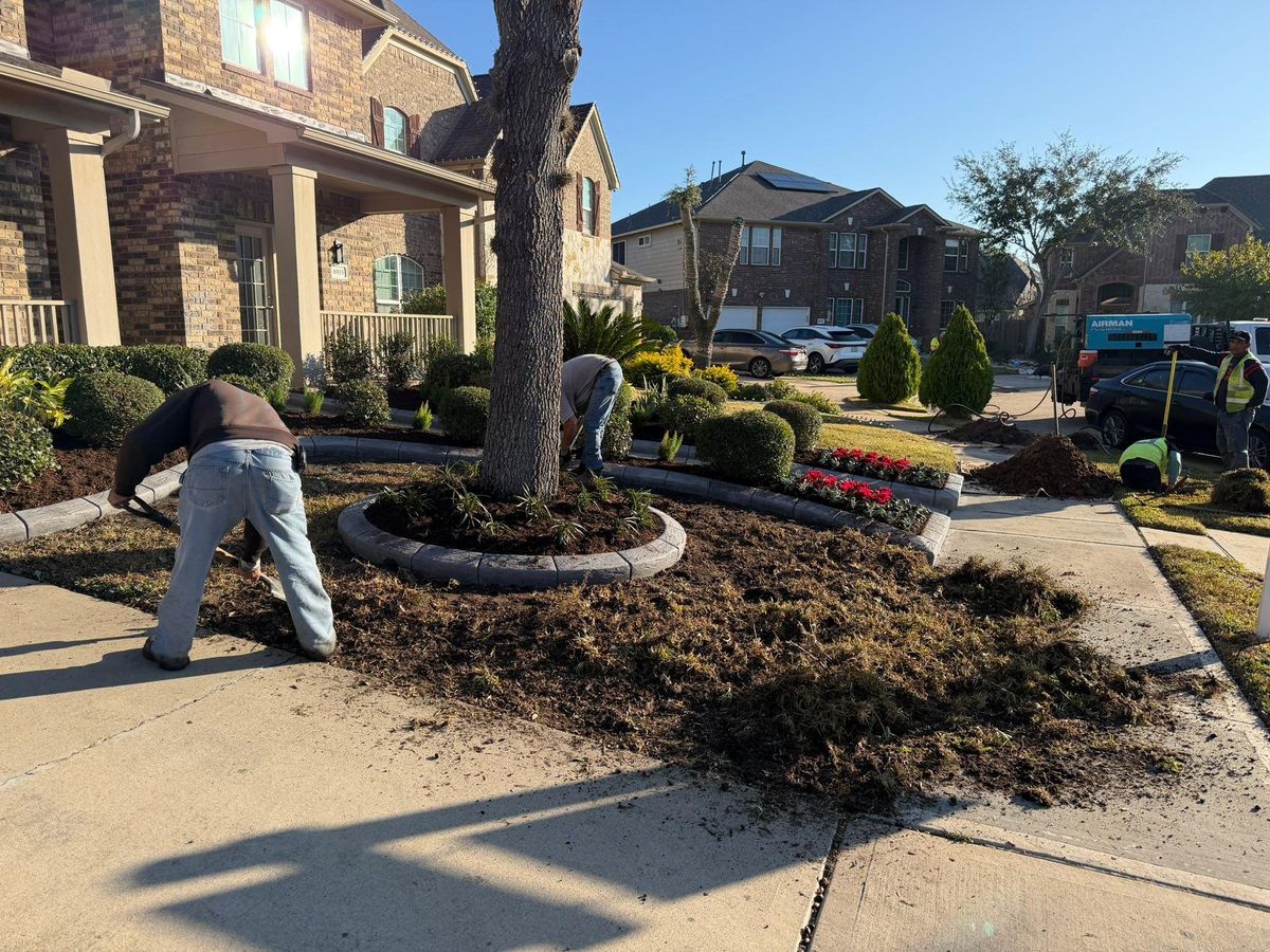 Landscaping for Texas Curb N Borders in Houston, TX