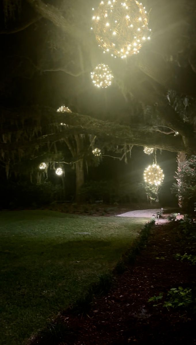 Landscape Lighting Installations for Wheelhouse Irrigation and lighting in Charleston, South Carolina
