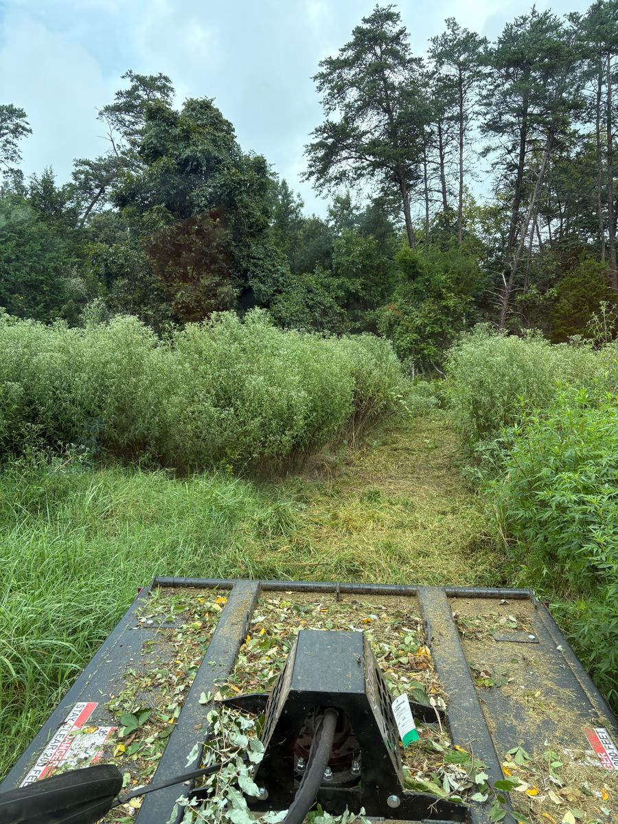 Land Clearing for Mountainside Property Services LLC in Warrenton, VA
