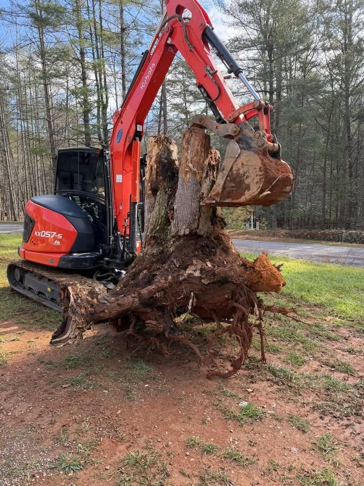 Tree Removal for C & D Landscaping Services LLC in Blairsville, GA