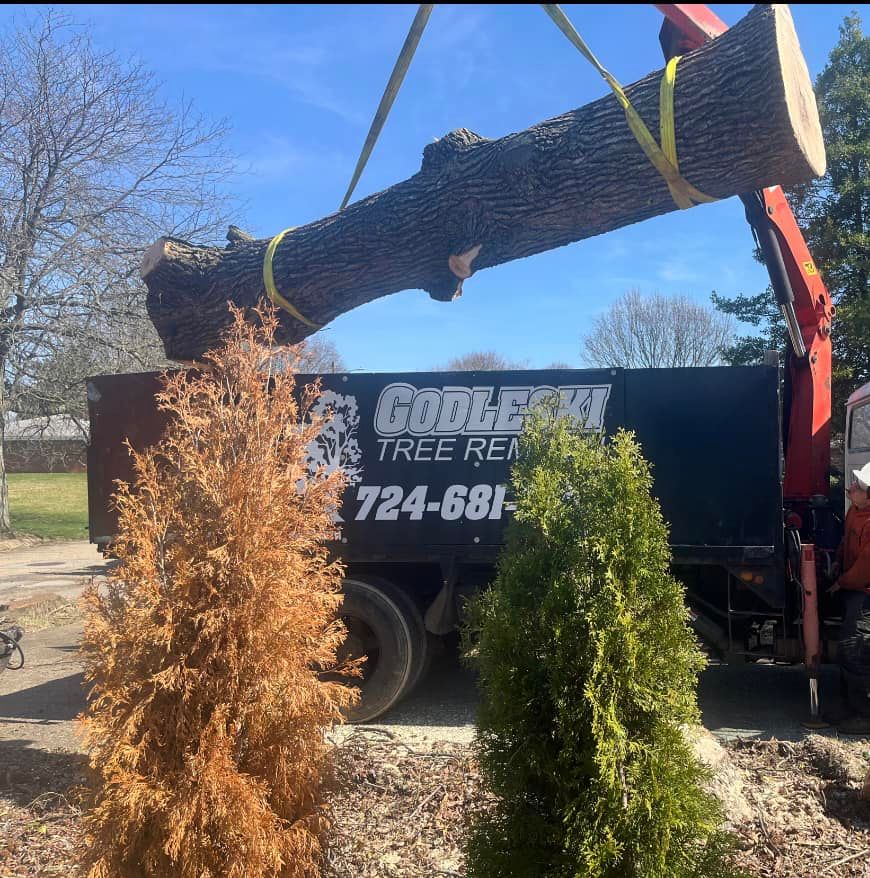 Tree Removal for Godleski's Tree & Landscaping in Pittsburgh, PA