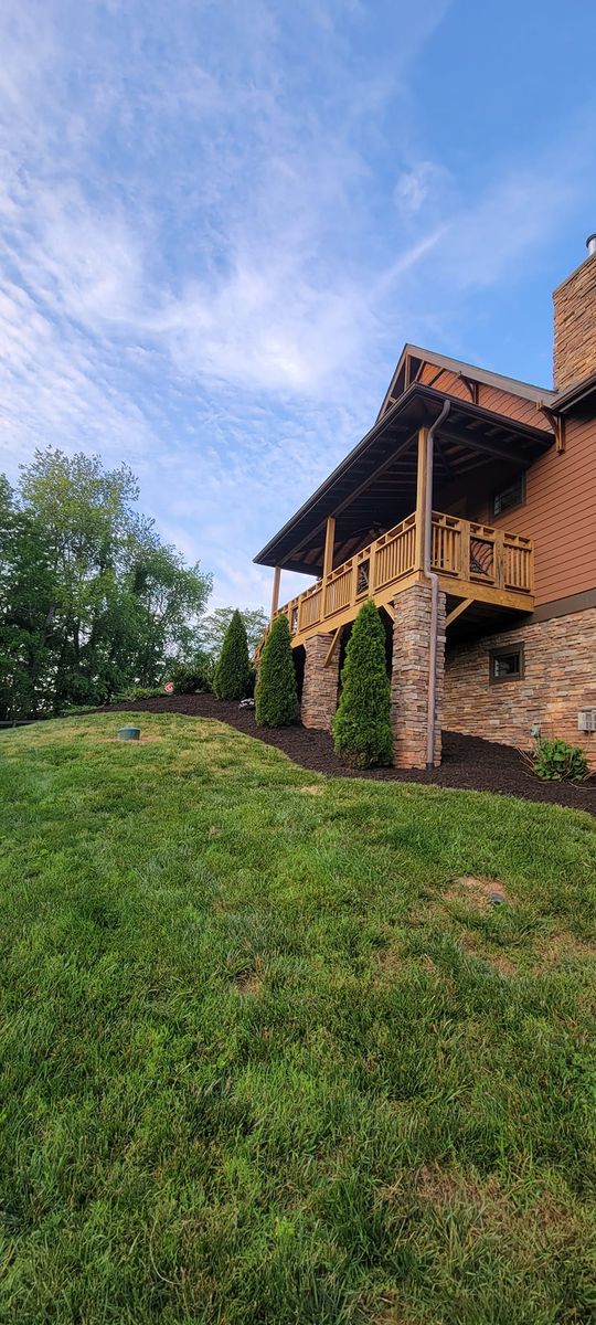 Clean ups and invasive plant management for C4 TrueVision Renovations in Asheville, NC