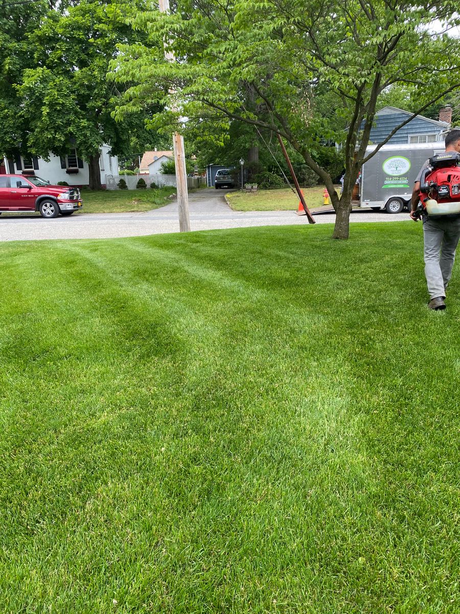Lawn Aeration for Zaldivar’s Lawn Care INC  in Peekskill, NY