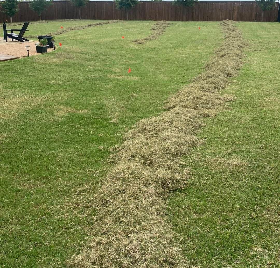 Dethatching for North Texas Groundscaping in Frisco, TX