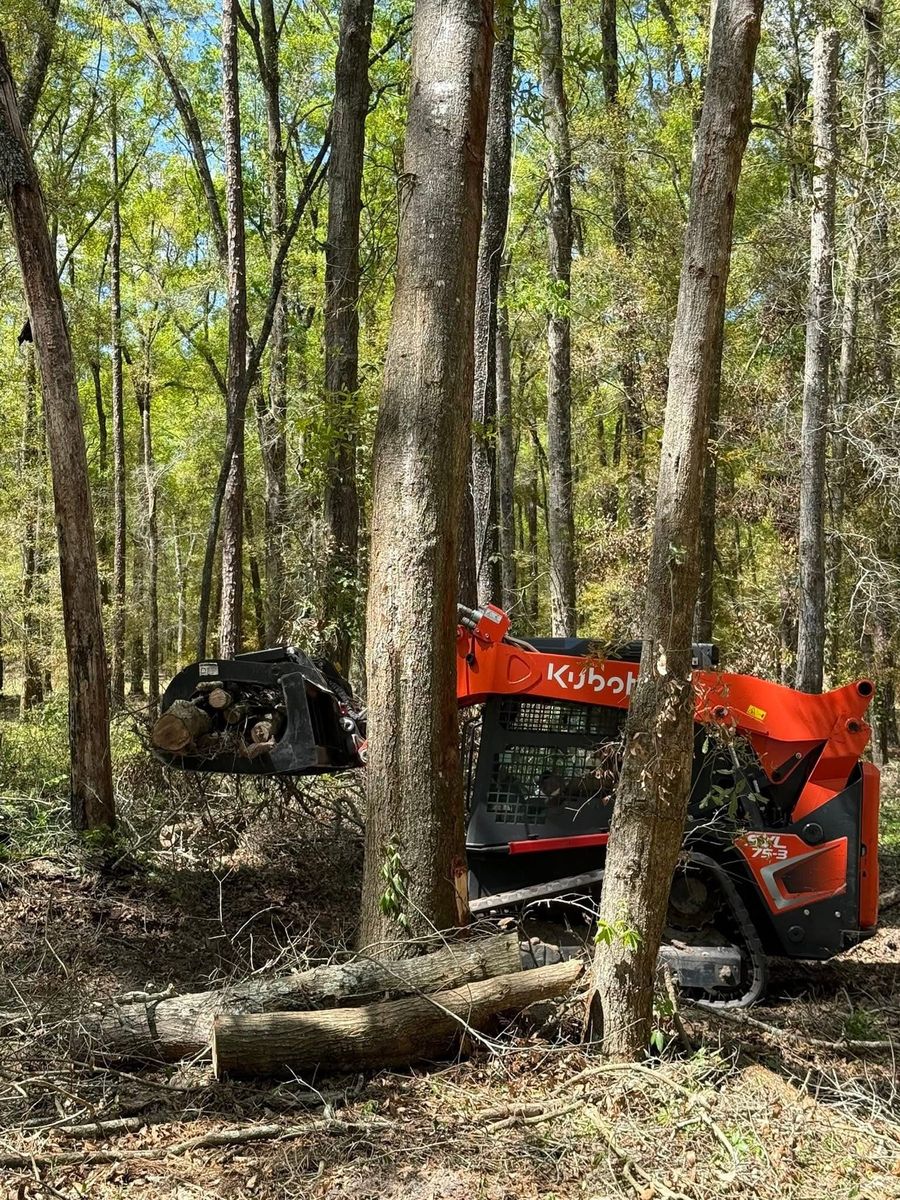 Storm and Property Debris Removal for Family Roots Landworks and Debris Removal in Newberry, FL