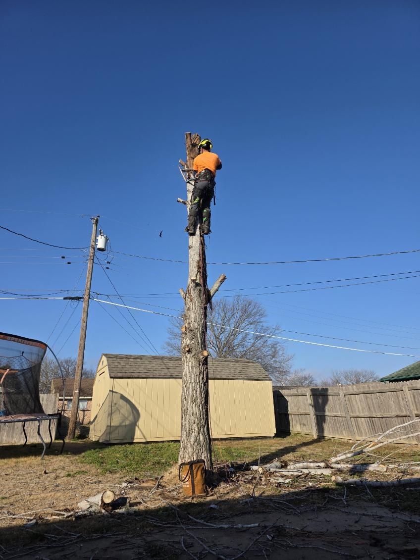 Tree Removal for Oklahoma Tree Guy in Bartlesville, OK