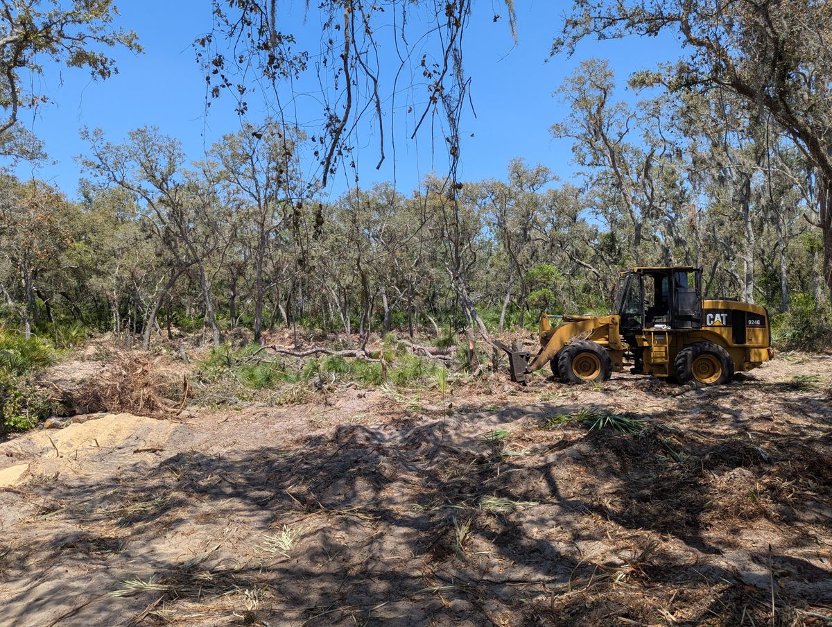 Land Clearing for Regal Tree Service and Stump Grinding in Wauchula, FL